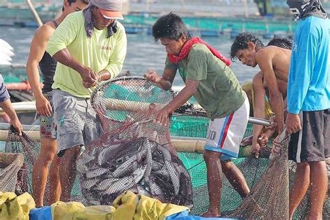 Fishing in Palawan .